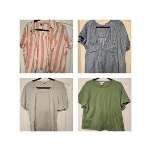 Woman's Size Large Collection